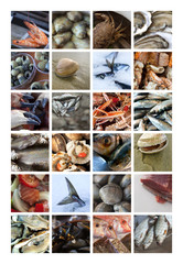 Crustacés, poissons et fruits de mer