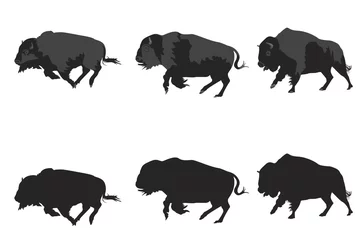 Foto op Plexiglas American bison galloping © Accent