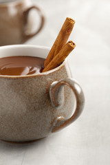 real thick hot chocolate in mug with cinnamon sticks