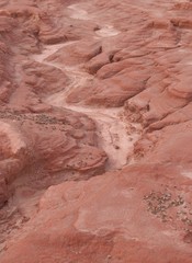 The effects of erosion on completely deforested soil