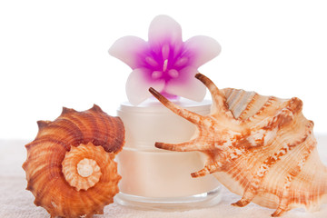 Obraz premium cream tube decorated with seashells