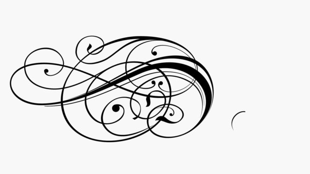 floral pattern - vintage calligraphy ornament