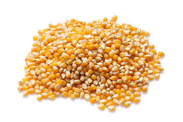 chcchi di grano su fondo bianco