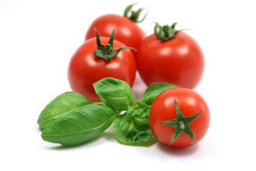 Tomaten Basilikum
