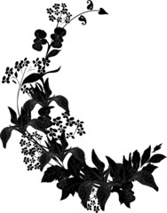 Naklejka premium curl with silhouette of grass and flowers