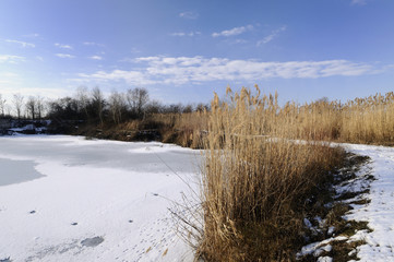 Sunny winter day on the lake