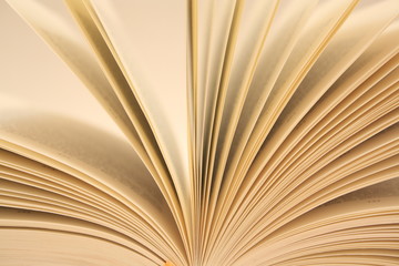 Buch