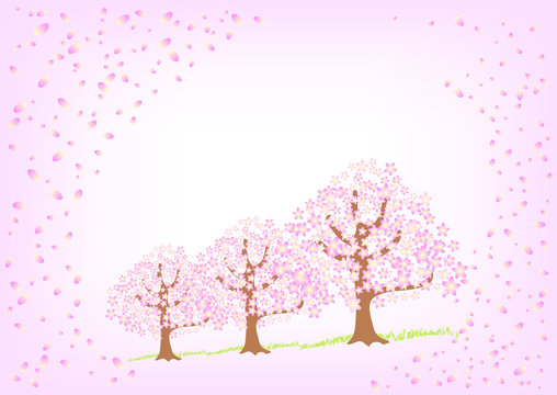 桜の並木道