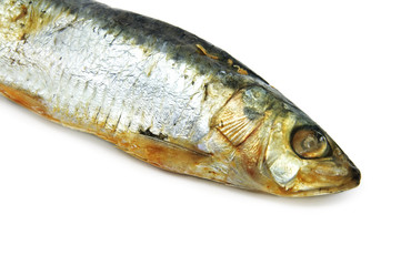 herring
