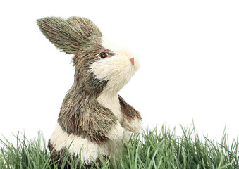 Osterhase in grüner Wiese