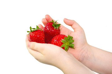 Obraz premium Strawberry in hands