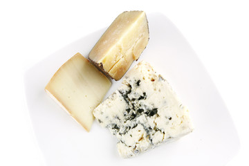 french aged cheeses on white