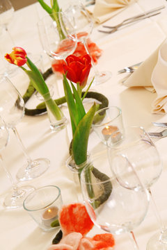 gedeckter tich mit tulpe