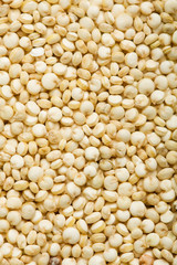 White Quinoa