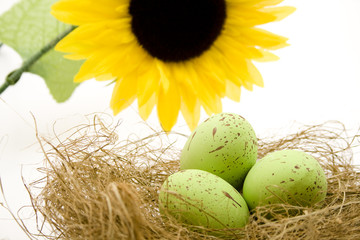 Ostereier und Sonnenblume