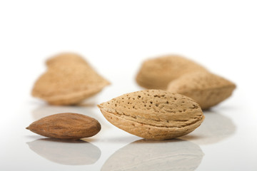 Pile of ripe crude almonds