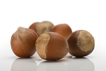 Pile of ripe crude hazelnuts