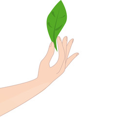 mano con foglia