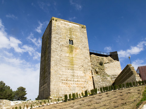 tower of homage in Estepa , Andalucia