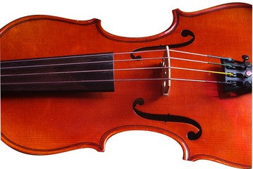 violon