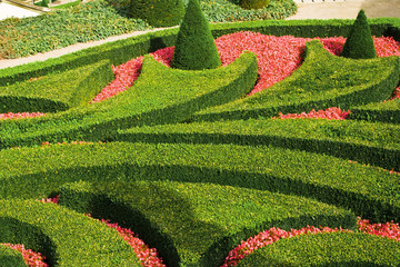 European garden maze - Powered by Adobe