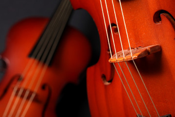 violini