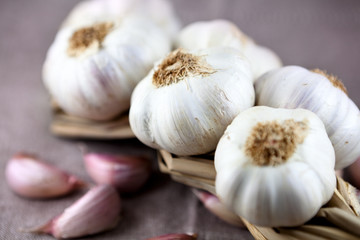 Garlic