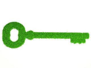 grass key