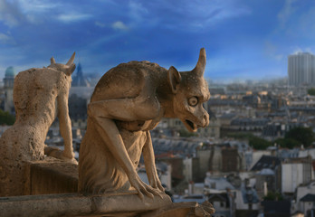 Gargoyle of Notre Dame de Paris - 20995454