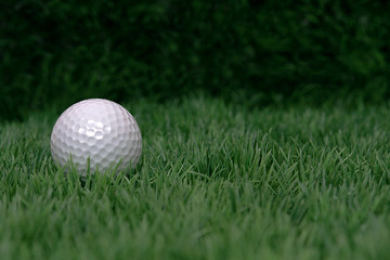 Golfball auf Rasen