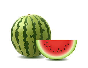 watermelon vector illustration