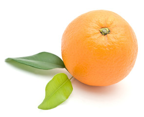 orange with leaves on white background