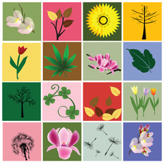 Elements from nature