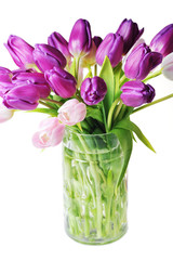 tulips in glass vase