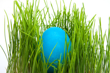 easter