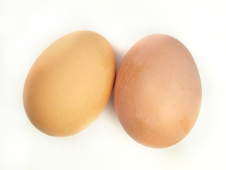Close-up of raw eggs on white background
