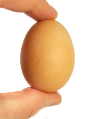 Egg in a hand