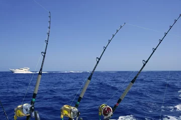Fotobehang Blue sea and sky in a big game tuna fishing day © lunamarina