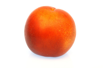 peach against white background