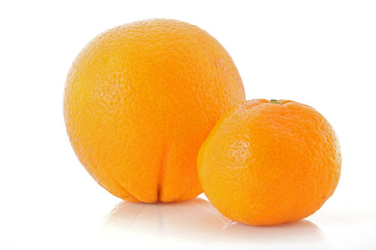 mandarine and orange  on white