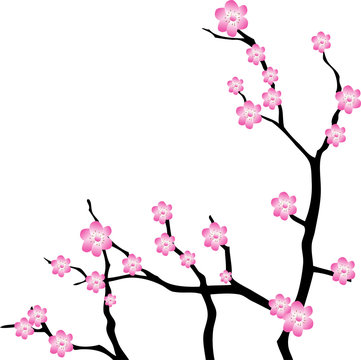 Oriental cherry branch. Vector Illustration