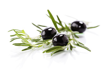 Olive branch