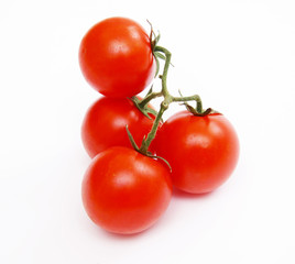 Tomatoes on a branch