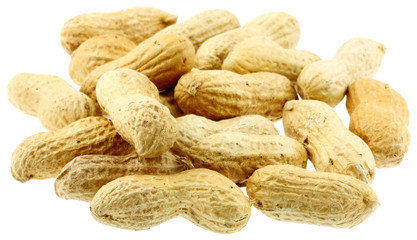 cacahuètes coques fond blanc