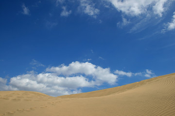 Fototapeta na wymiar The Wonderful Dunes of Maspalomas.Spain