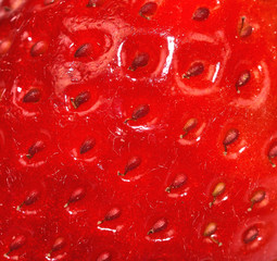 Strawberry background