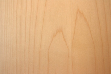 Maple wood