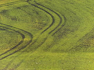 Fahrspuren in gr&uuml;nem Feld