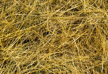 straw texture