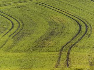 Fahrspuren in gr&uuml;nem Feld